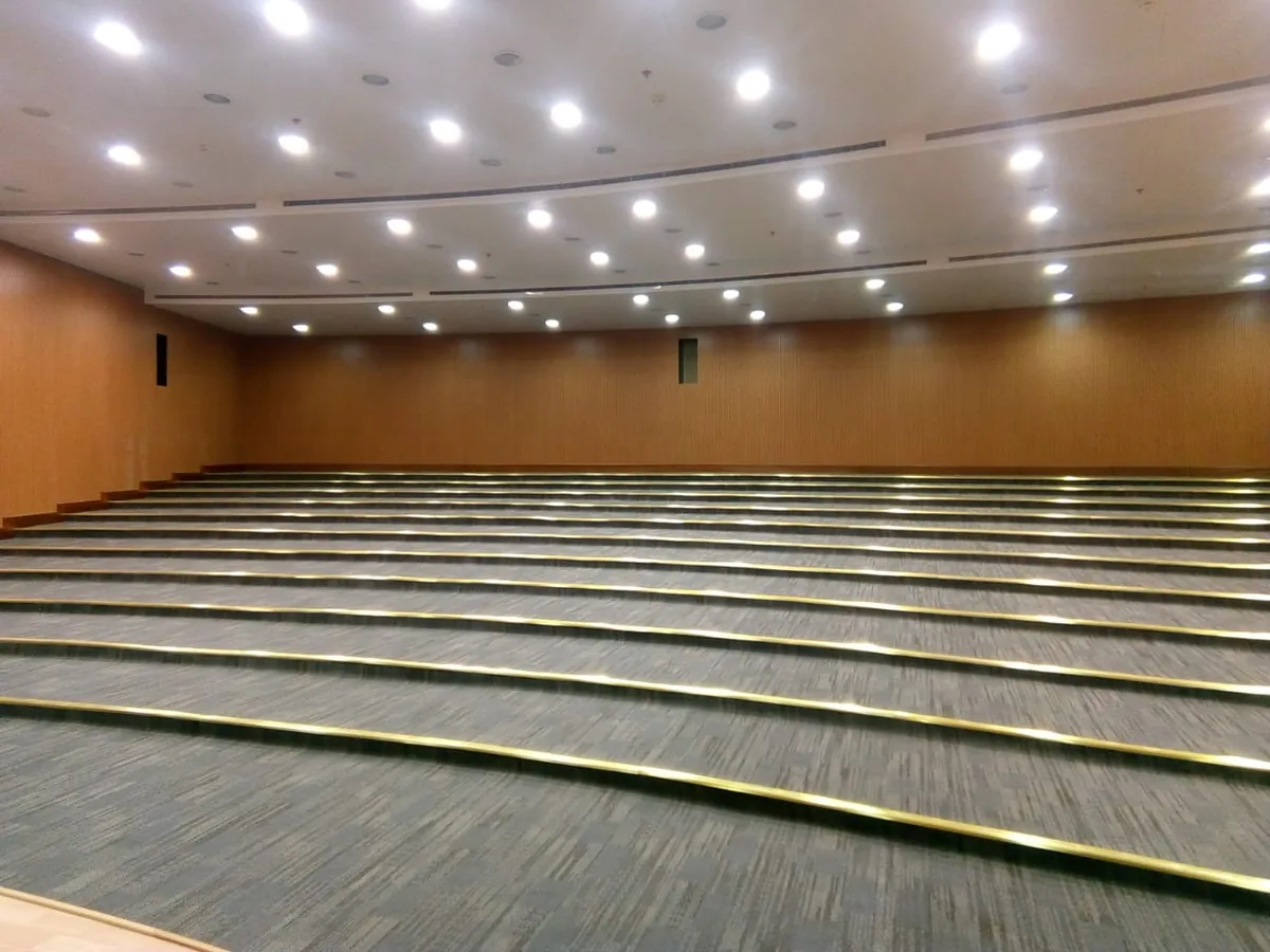 Lecture hall with full-height wood-grain acoustic wall panels and carpeted tiers