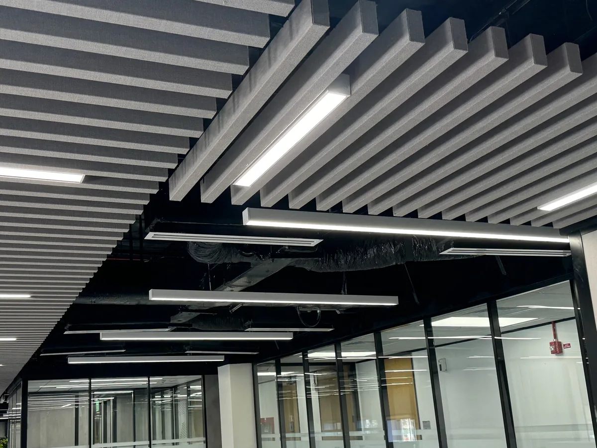 Grey baffle canopies with integrated linear lights over an open-plan office with glass-fronted rooms