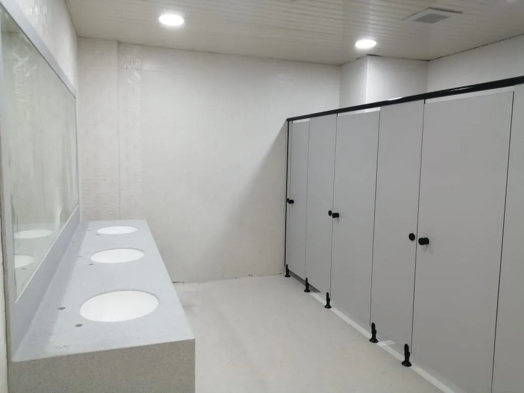 Light-grey toilet cubicles with black hardware beside a washbasin counter